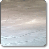 ��� ���� ArtFloor