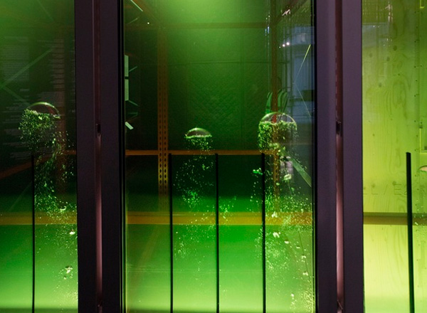 ���� ���-������� �� ���� ����. � Algae Fa&ccedil;ade prototype panels, 2016