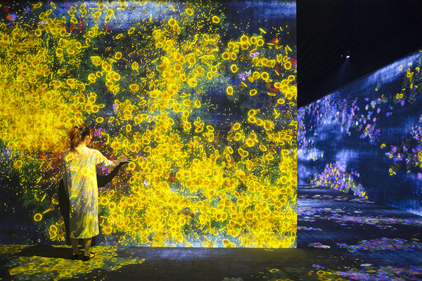 הפרחים משתנים במגע המבקרים teamlab
