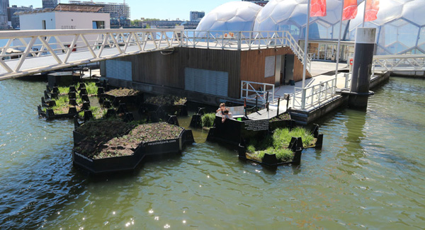 Rotterdam Floating park - מבט כללי. צילום: Recycled Island Foundation