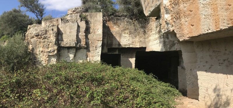 תנאים ראשוניים , Ca
