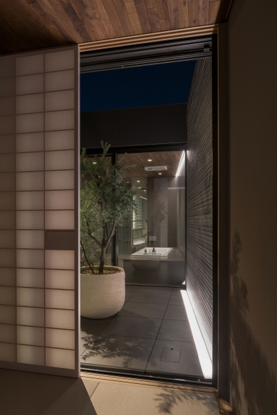 Timeless. Photo Credit: masao nishikawa