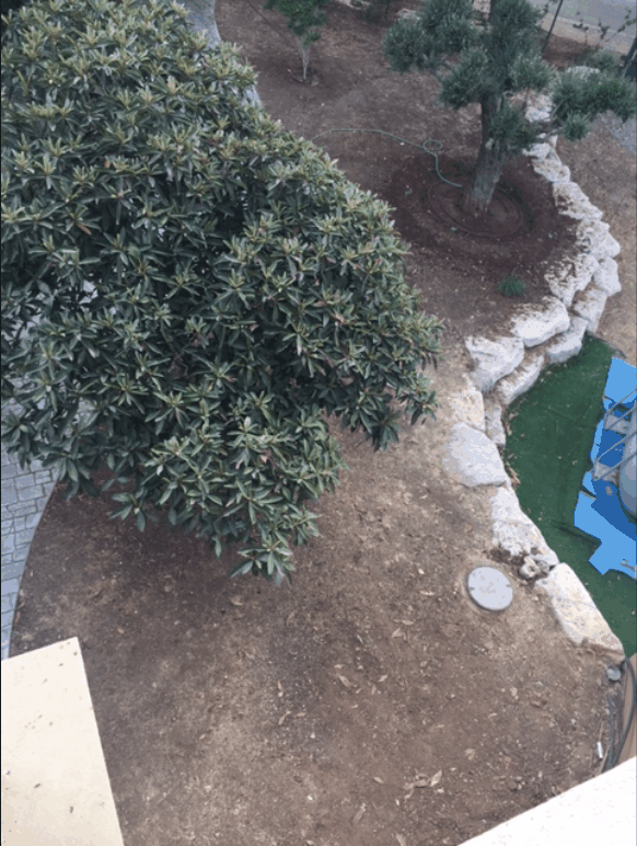  ���� ����� ���� ��  