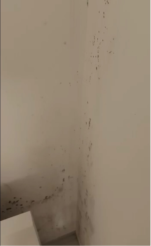  ���� ���� 