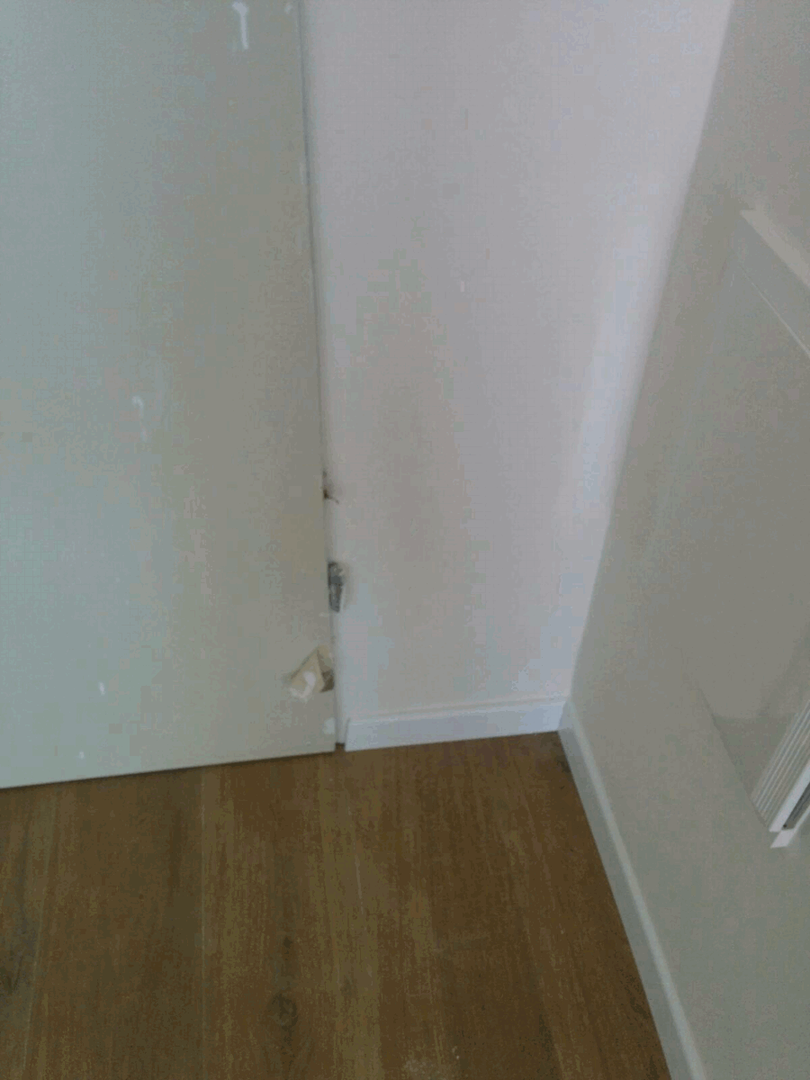  ����� ���� ������ ����� 