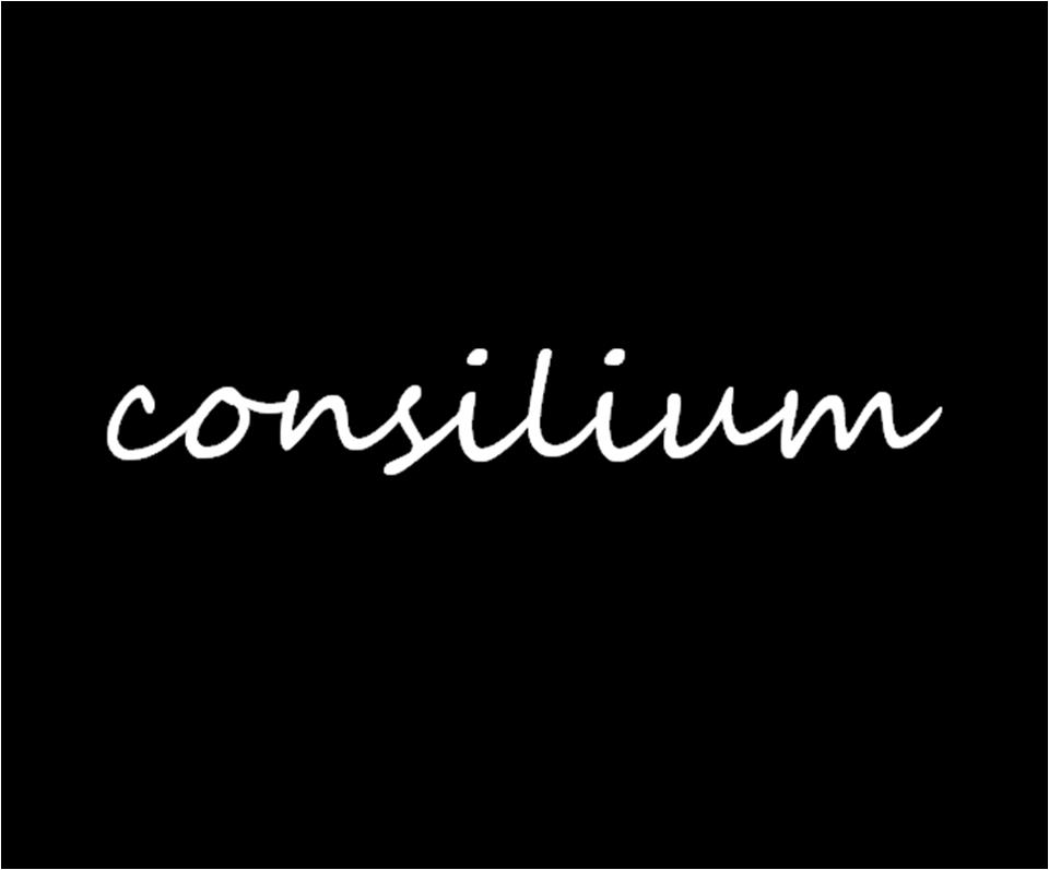  ���� ����� - consilium-israel.co.il 