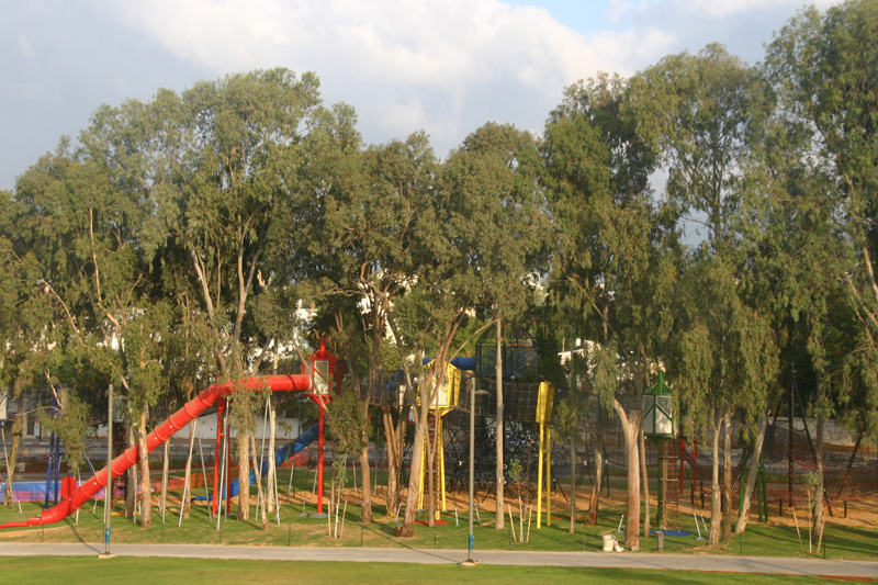פארק ברמת השרון. ראיון עם אדריכל נוף צביקה קנוניץ