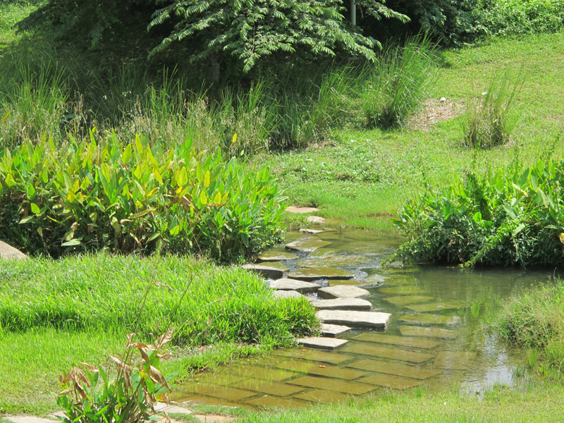 ���� ���� ������: Bishan Park ��������