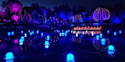 Winter Lights ��� ������ ��������