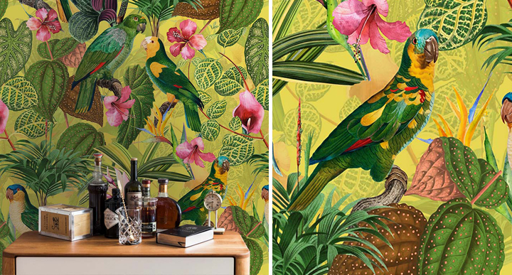 ��� Parrots with Orchids Uta Naumann �����
